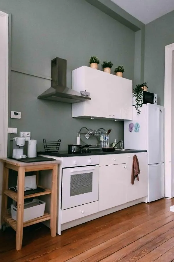Charming Apartment With Terrace In Lille
